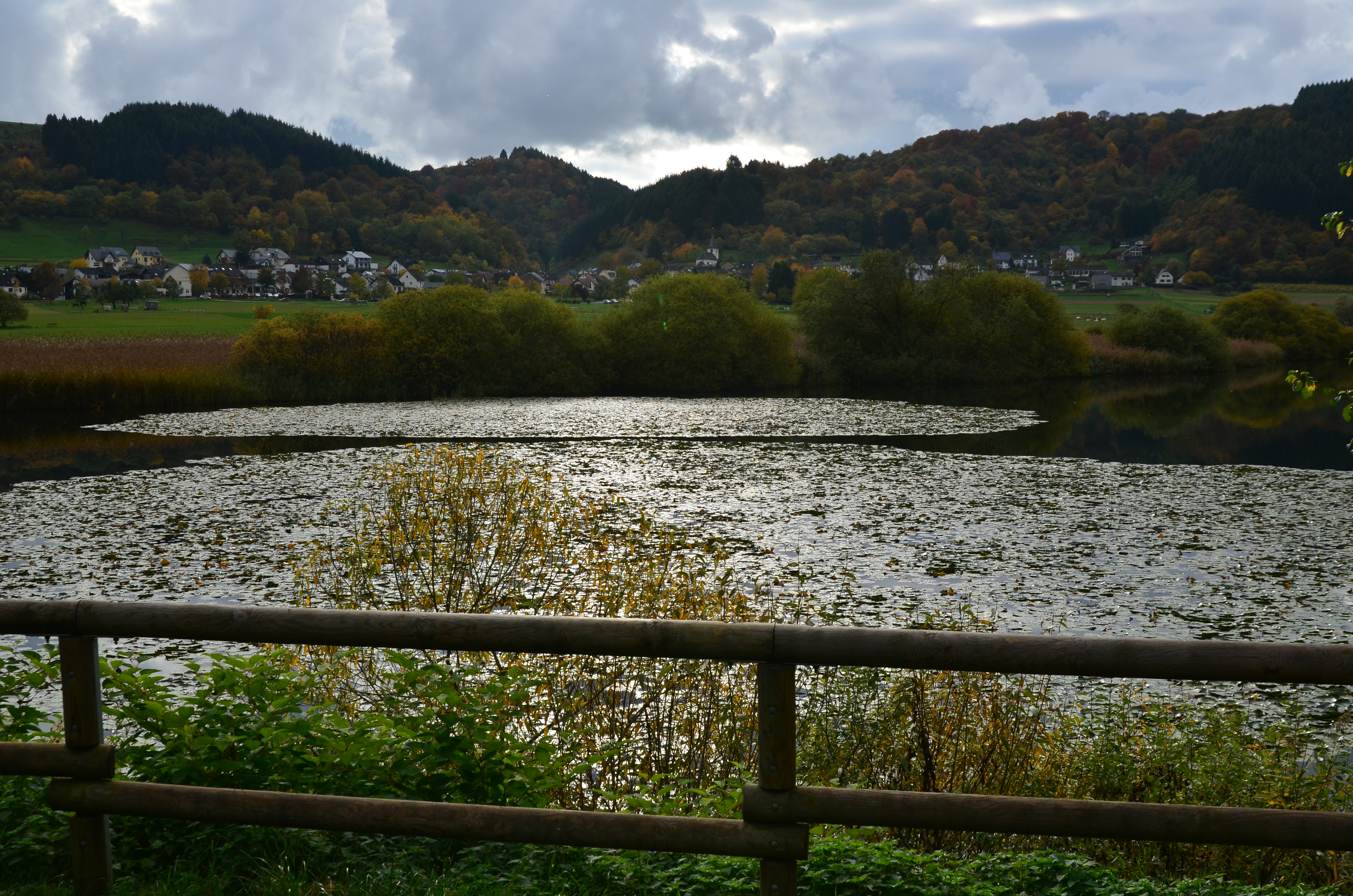 dsc_1869
